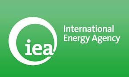 IEA STATISTICS -   NATURAL GAS INFORMATION
